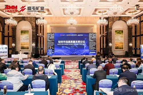 沁新集团冶炼专用焦产品首秀SMM铅锌大会，技术革新引关注